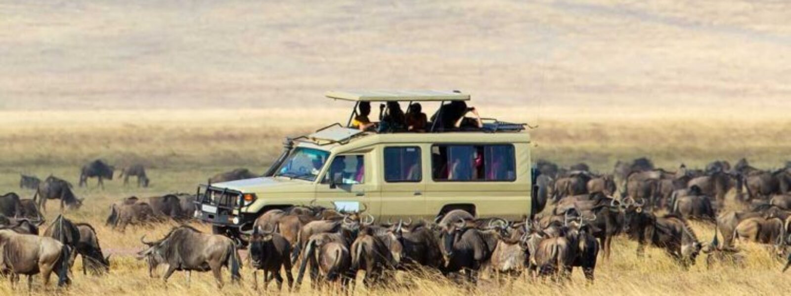 Serengeti