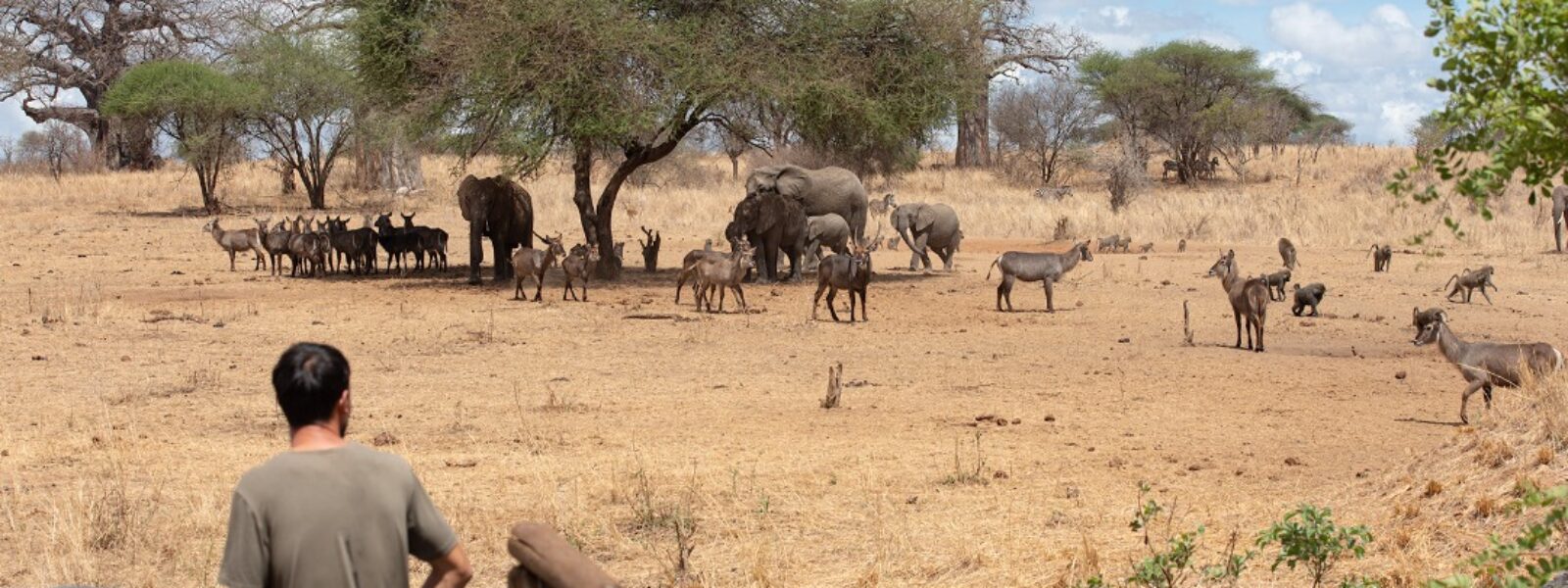 Arusha