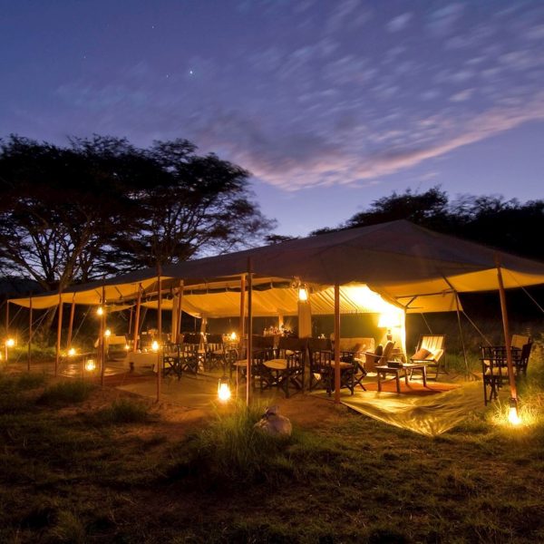 dunia-camp-serengeti-national-park-scaled